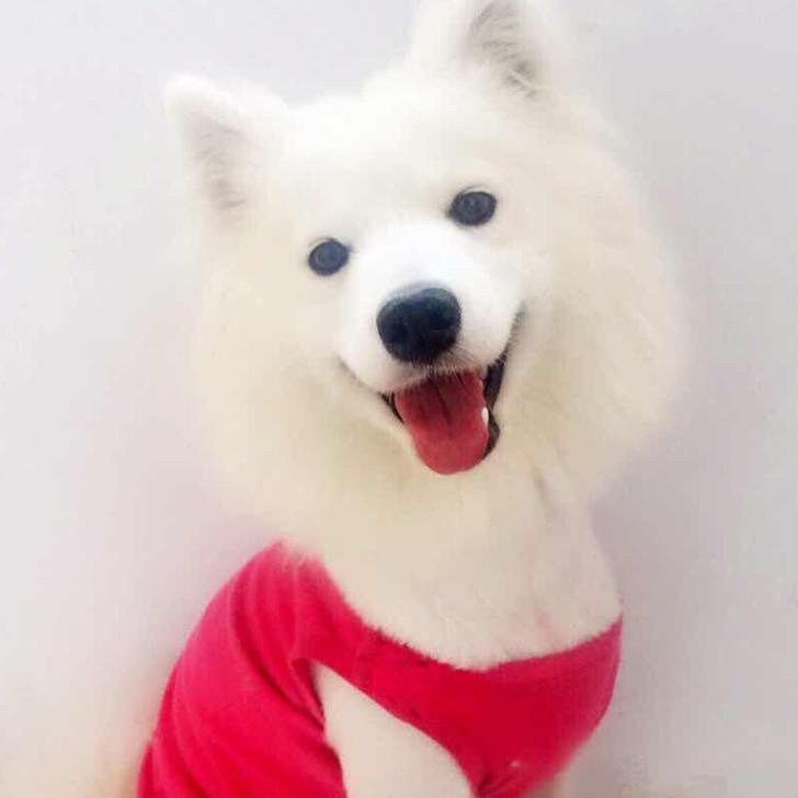 我是一杯咖啡茶