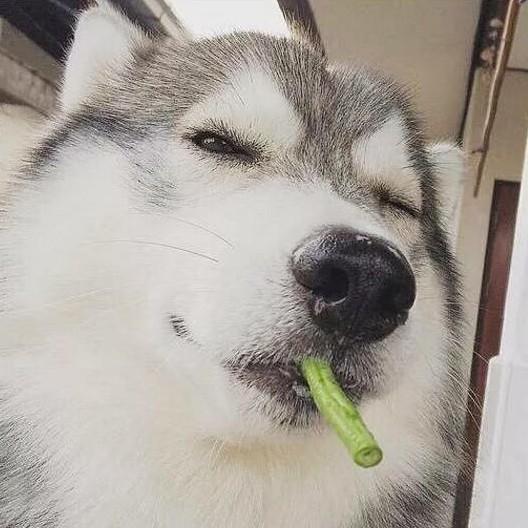 小天才利讯数码专卖店