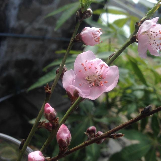 【富贵美食】~美