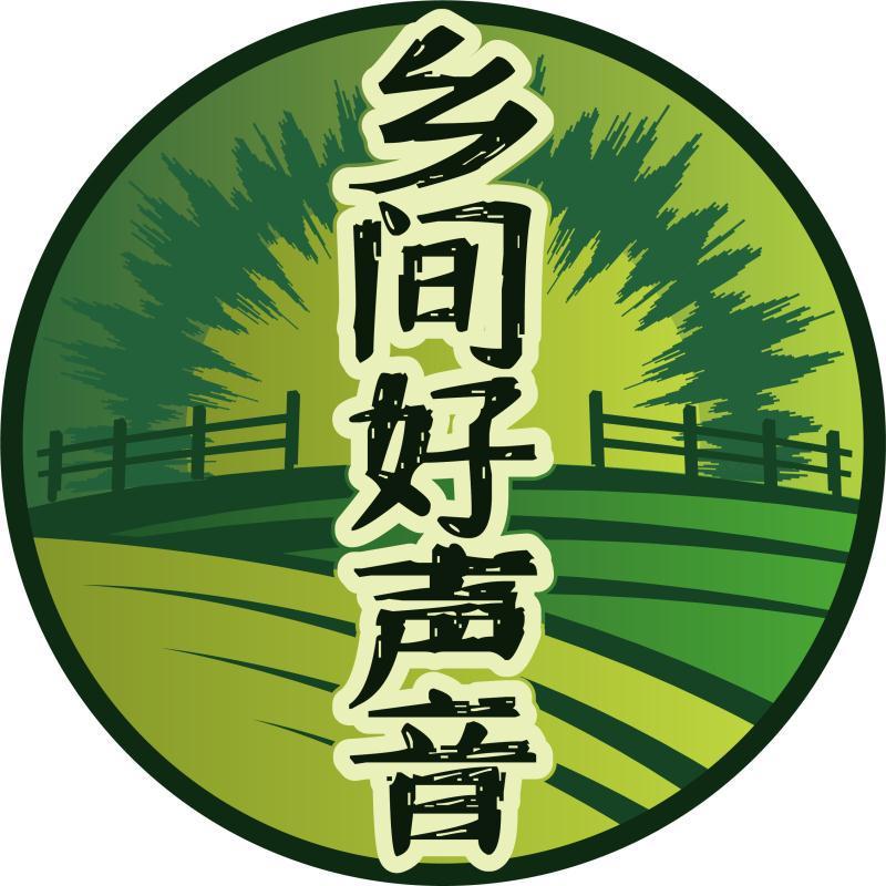 烟花泡泡机（乡村味道年货好物优选）