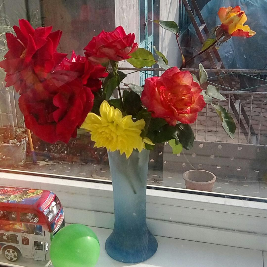 热爱生活的二宝妈妈