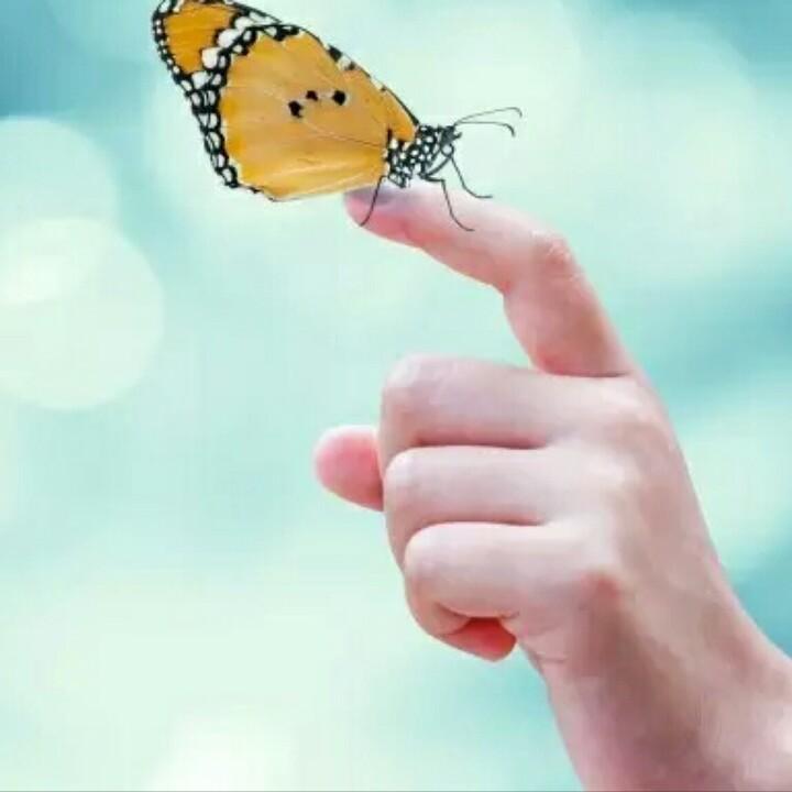 浅🍒梦🥂入🌈夏