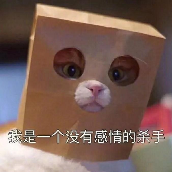 南