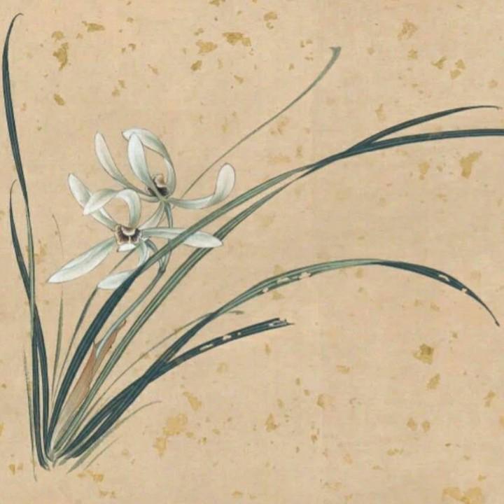 猪猪菜菜