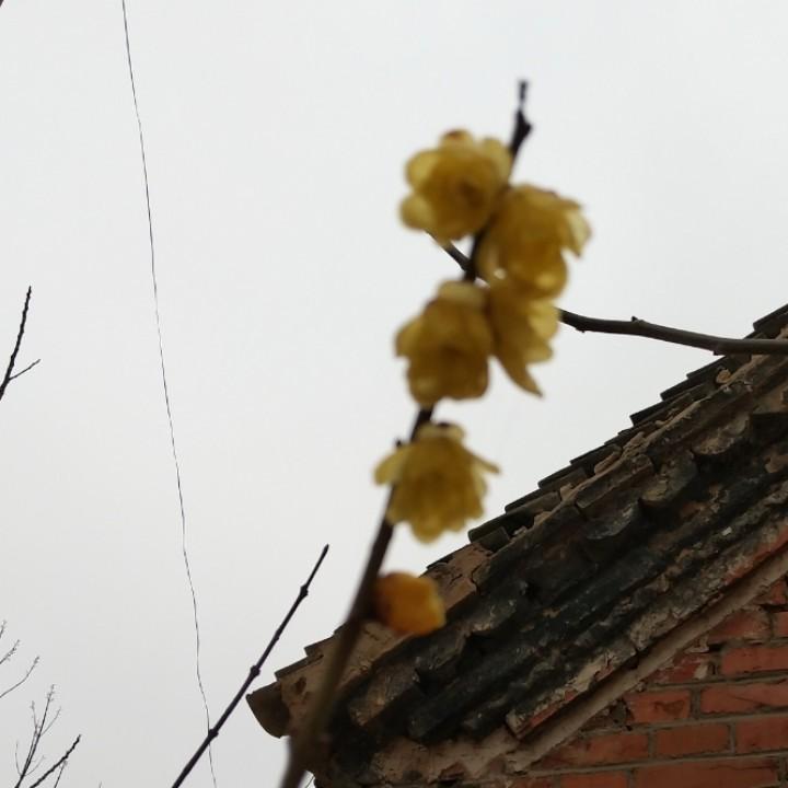 桐乡市濮院鑫尚绒服装网店