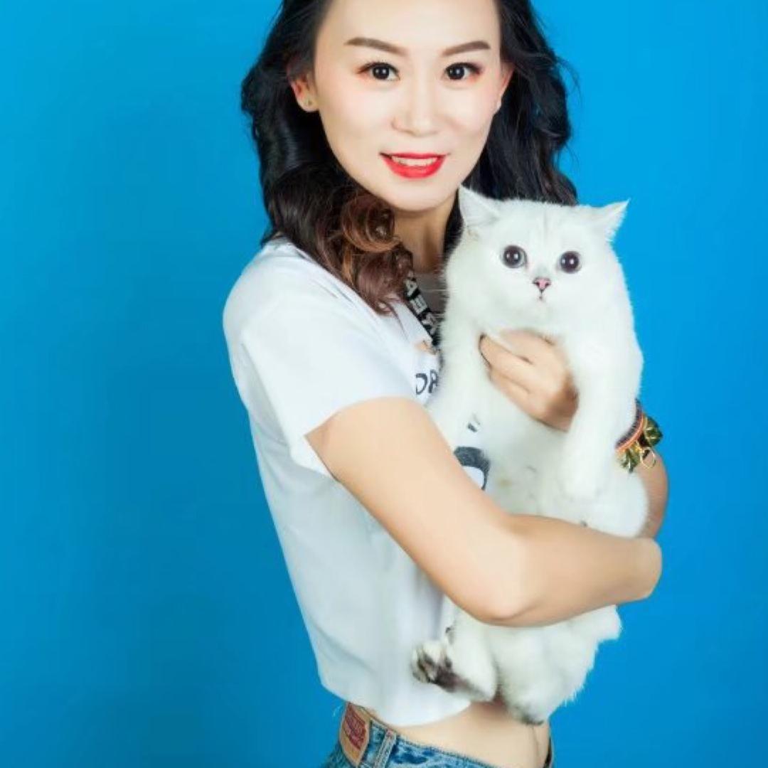 冰雪名猫 (买🐱私聊)