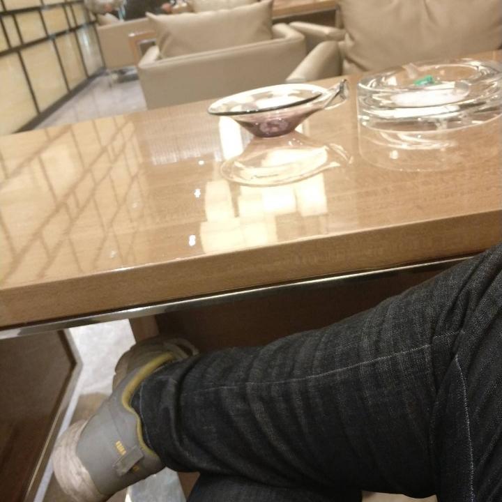 可以依偎的大树