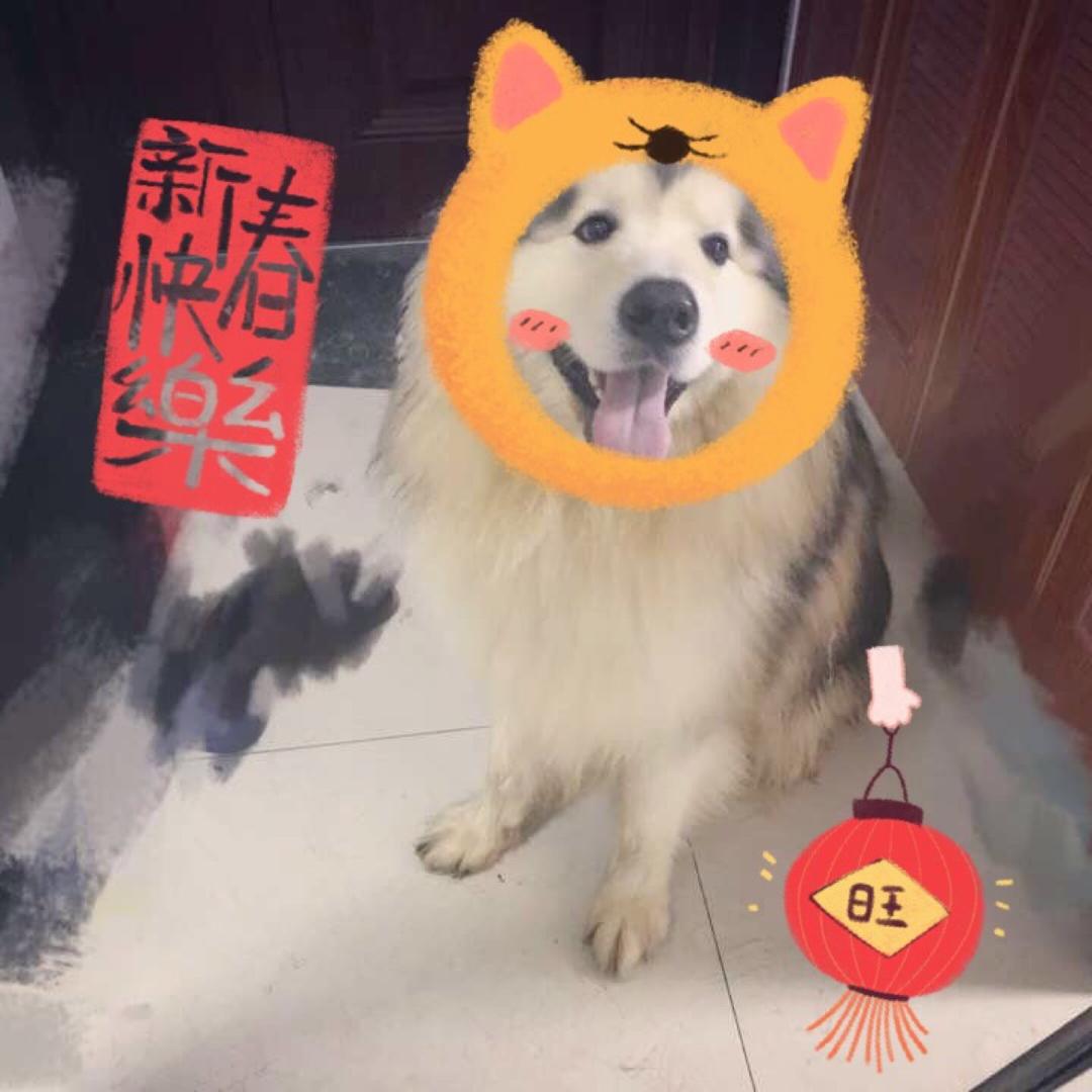 柚子的佑