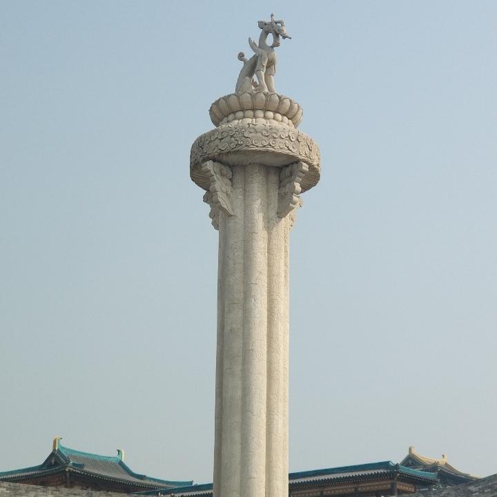 闪电龙