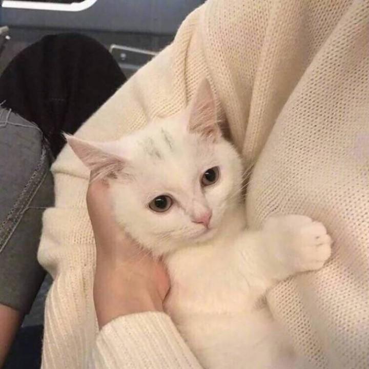 聪明勇敢有力气