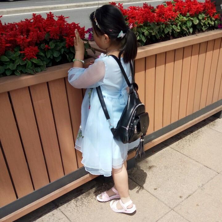 可爱女王
