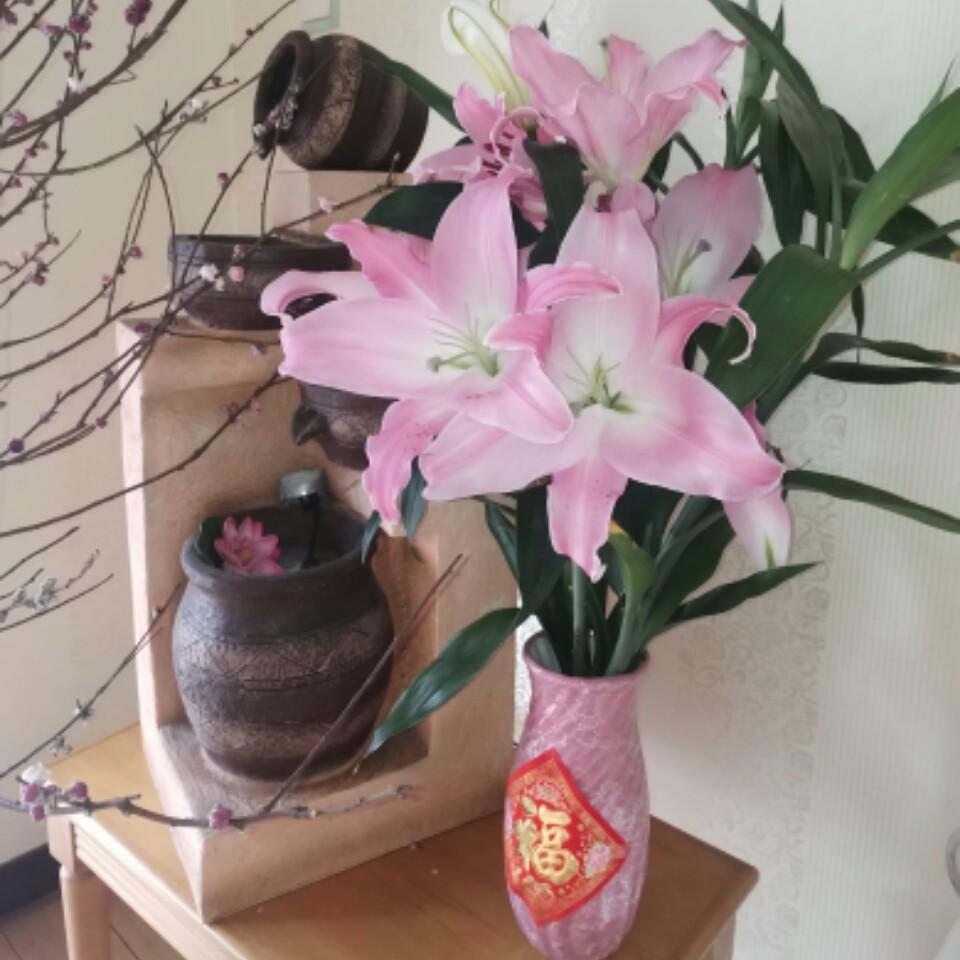 游游