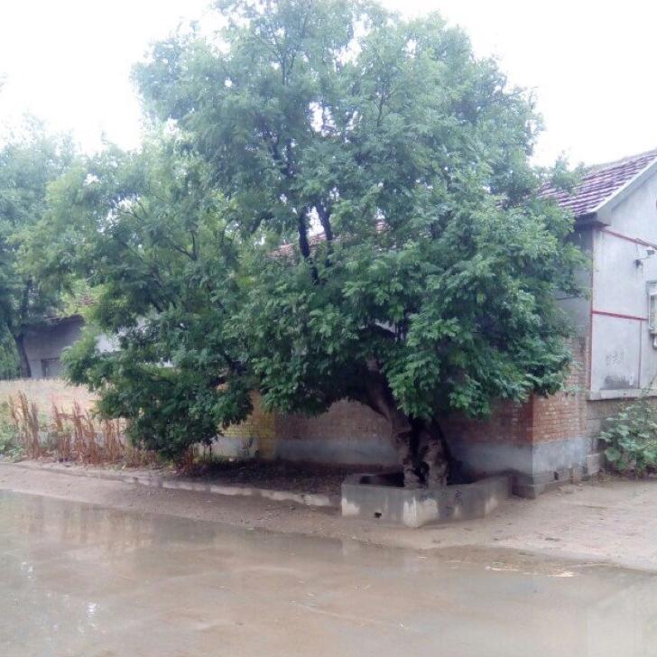 咱是老乡