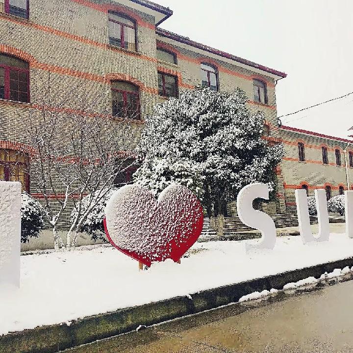 是jsn啊~