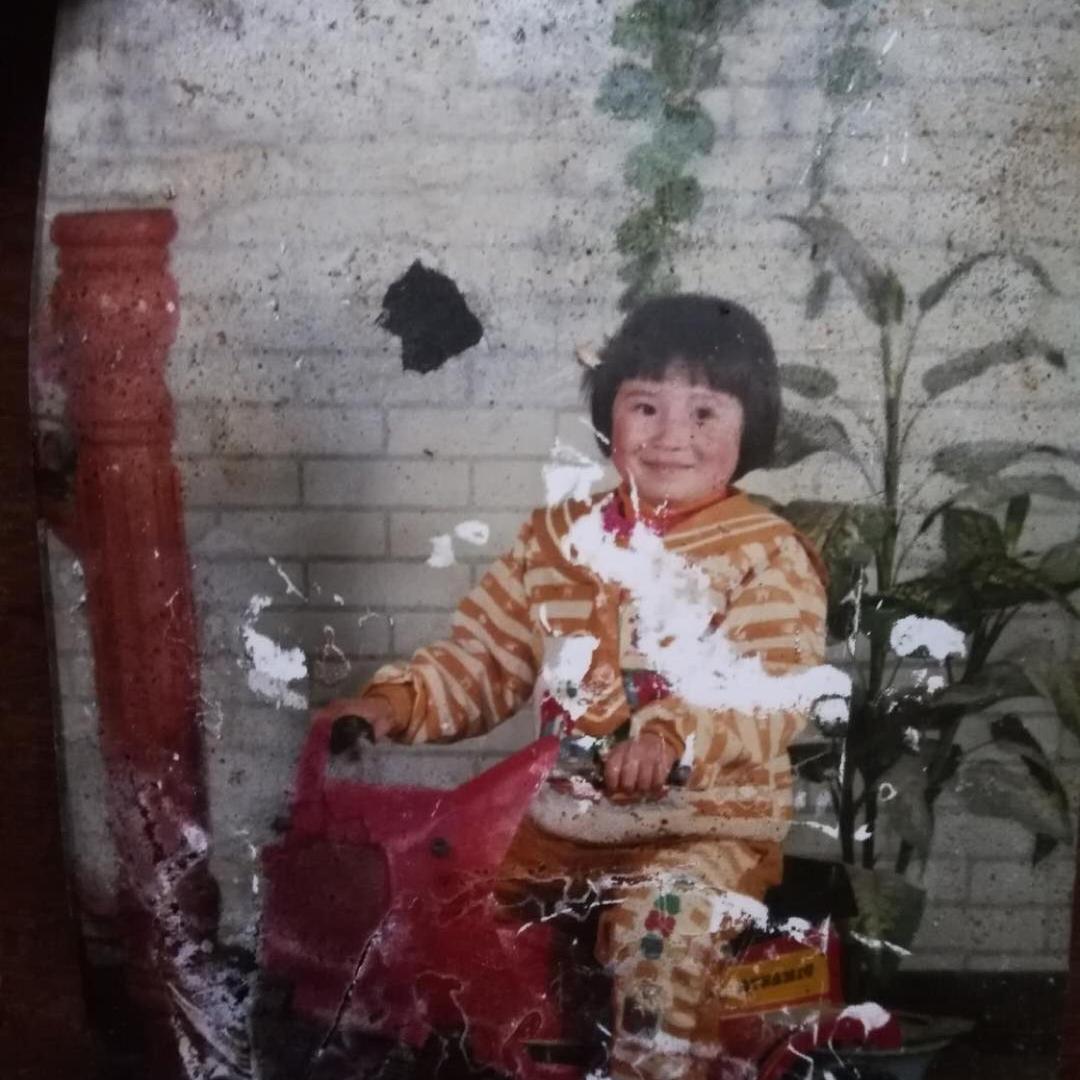 橦