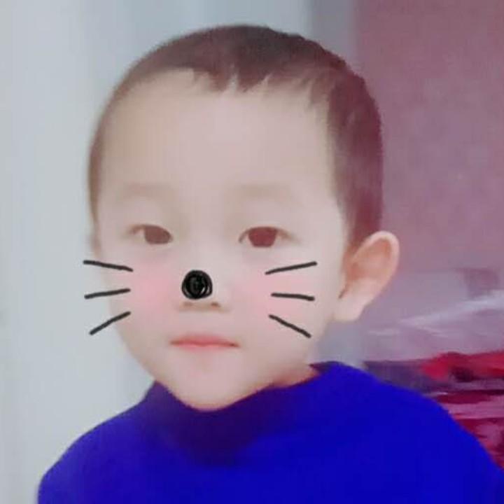 风和日丽
