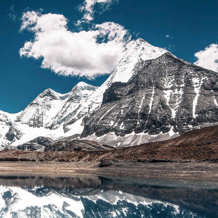 老船长的小板鸭