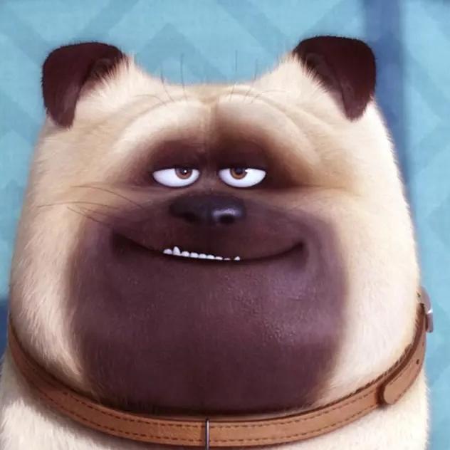 冬天的冰୧⍤⃝🍗