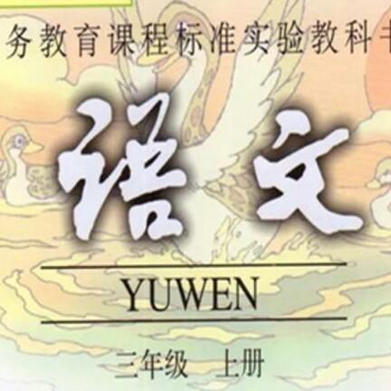 李小胖（主页有橱窗）