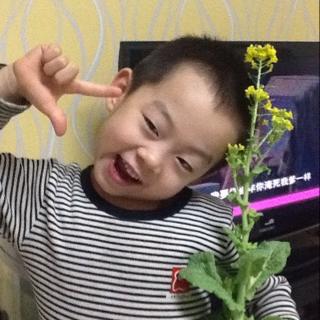 保钢的宝