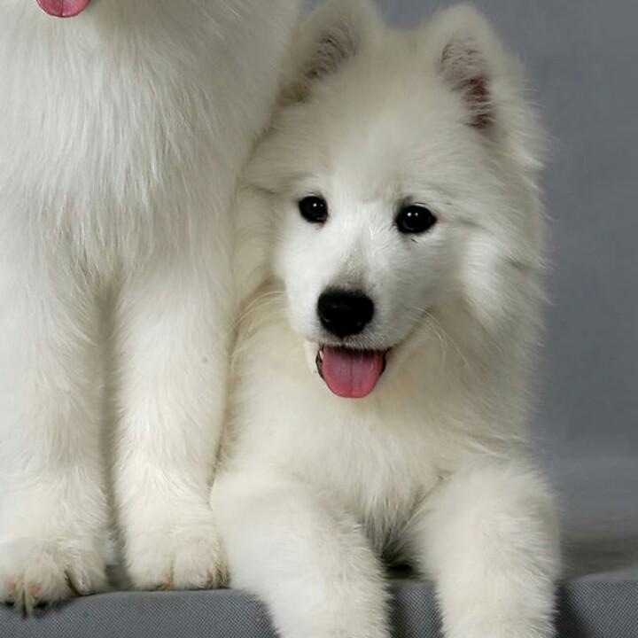 爱玩的男人，开心每一天