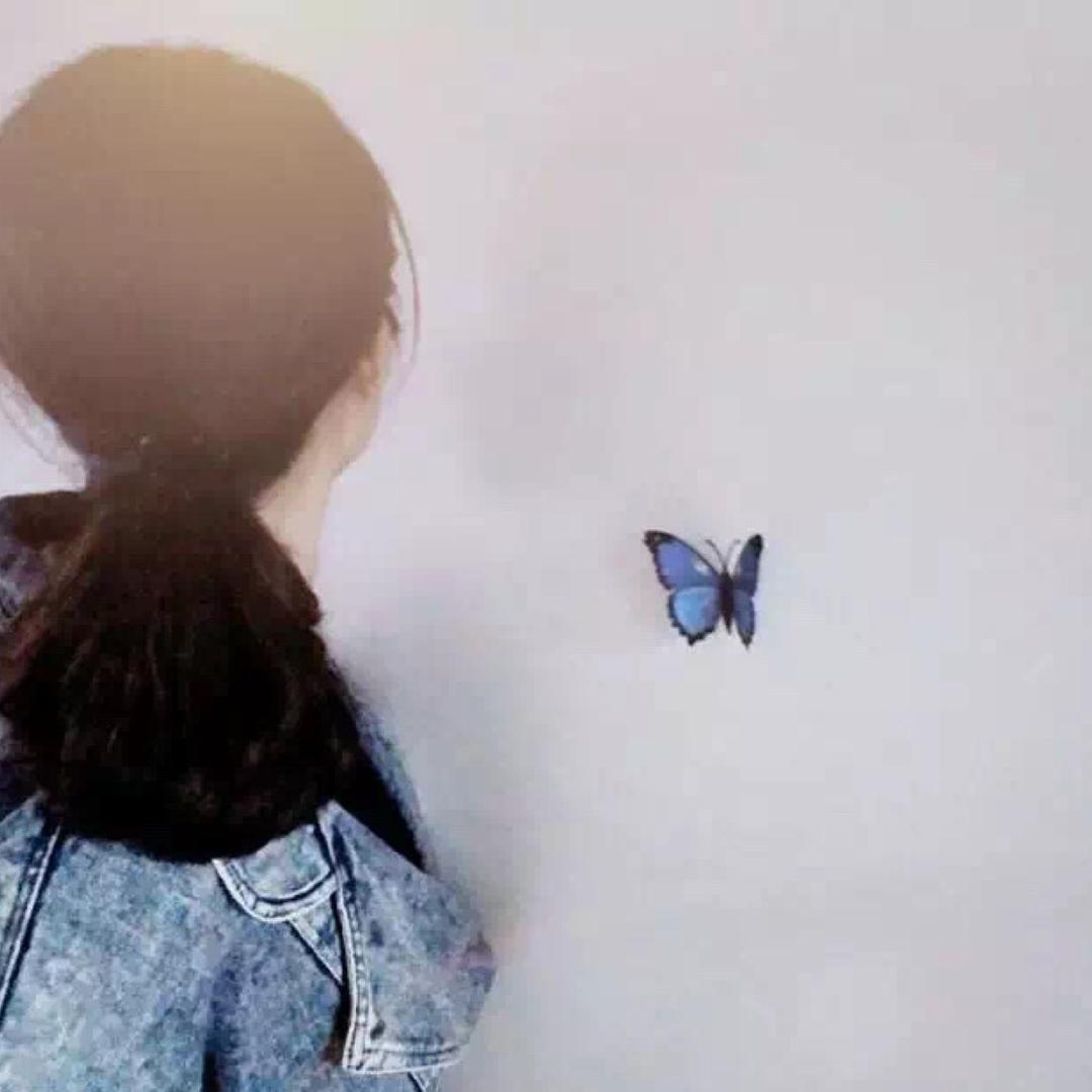 撒哈拉的小袋鼠