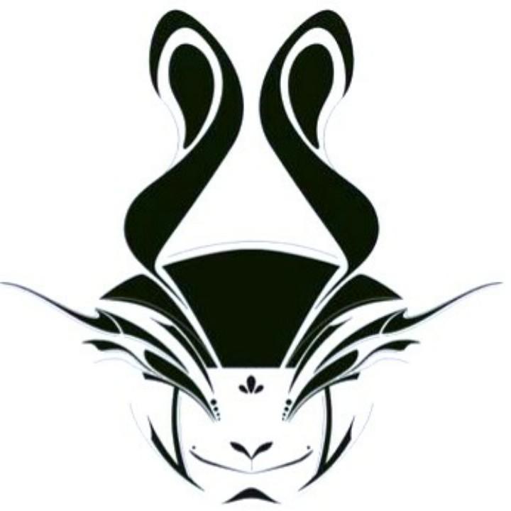 老猫