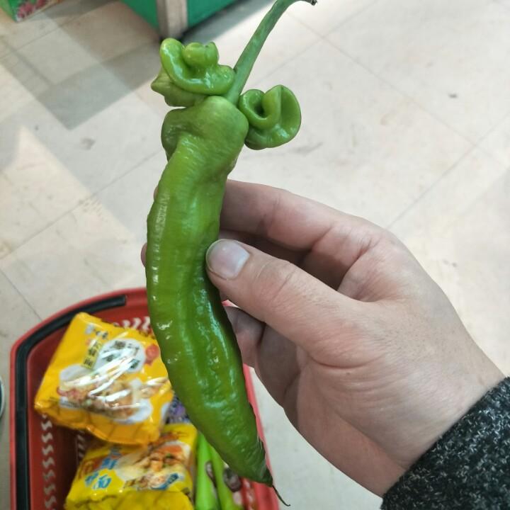 瞎得瑟