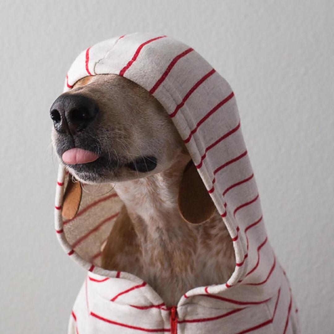 苏宁同城购Max店上海长宁中山公园