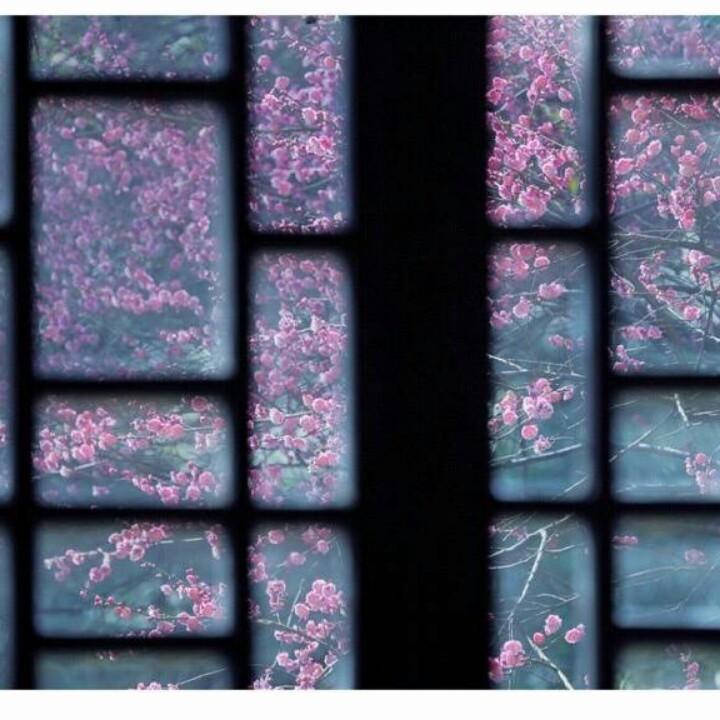 玺玥麻麻