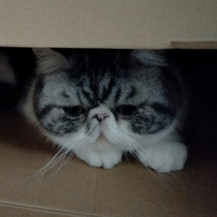 只想赚钱买罐头