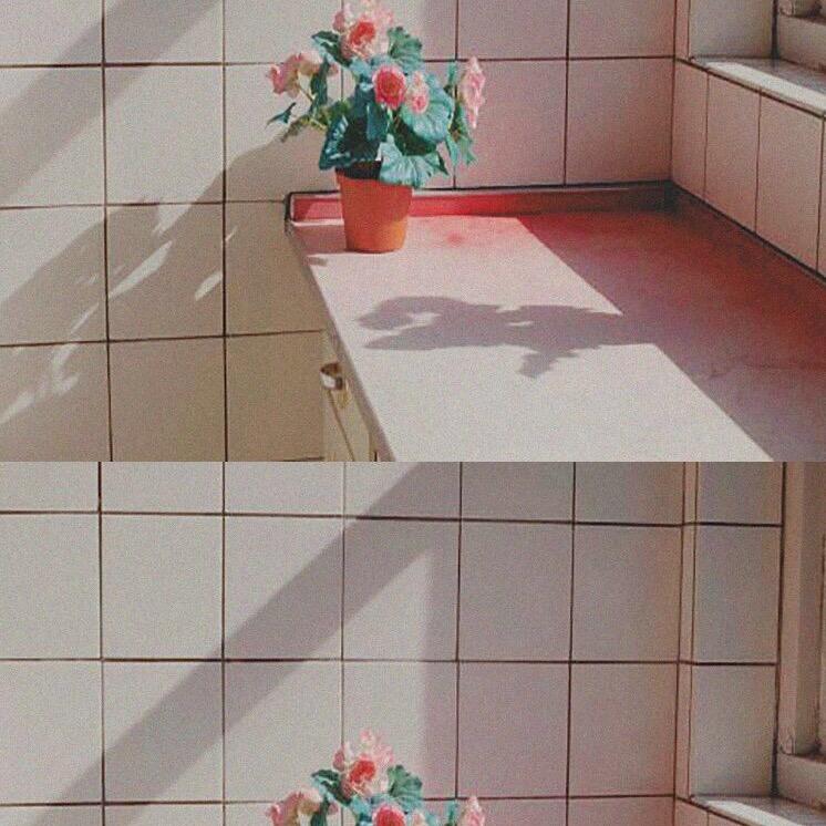 暖暖月半