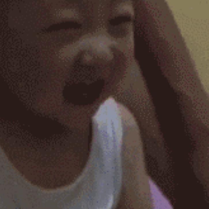 小猪