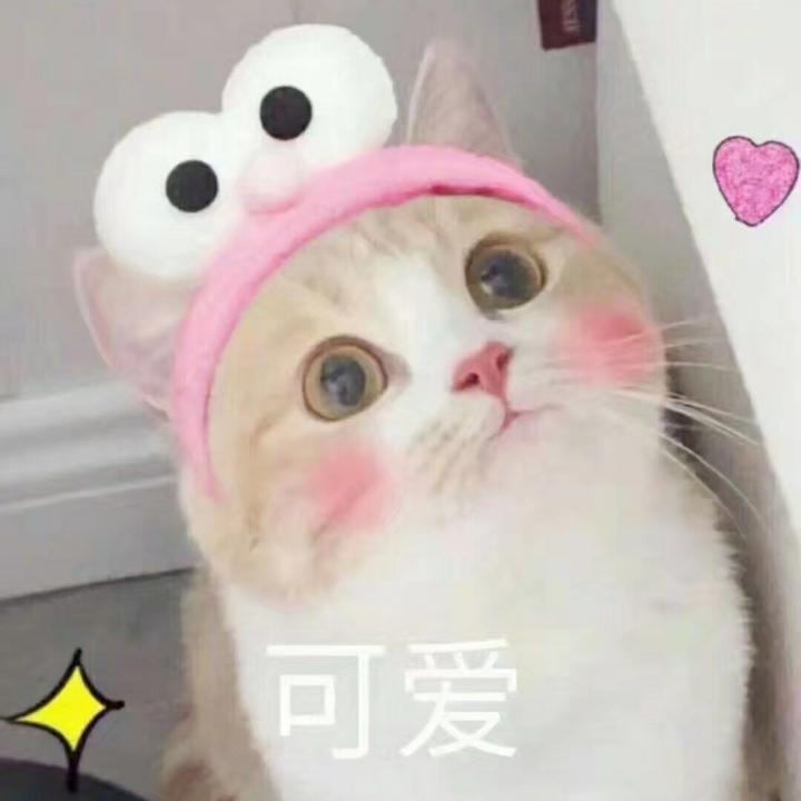 草莓味🍓