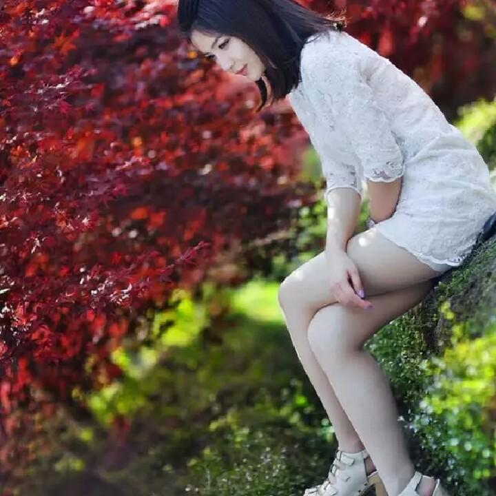 凤哥