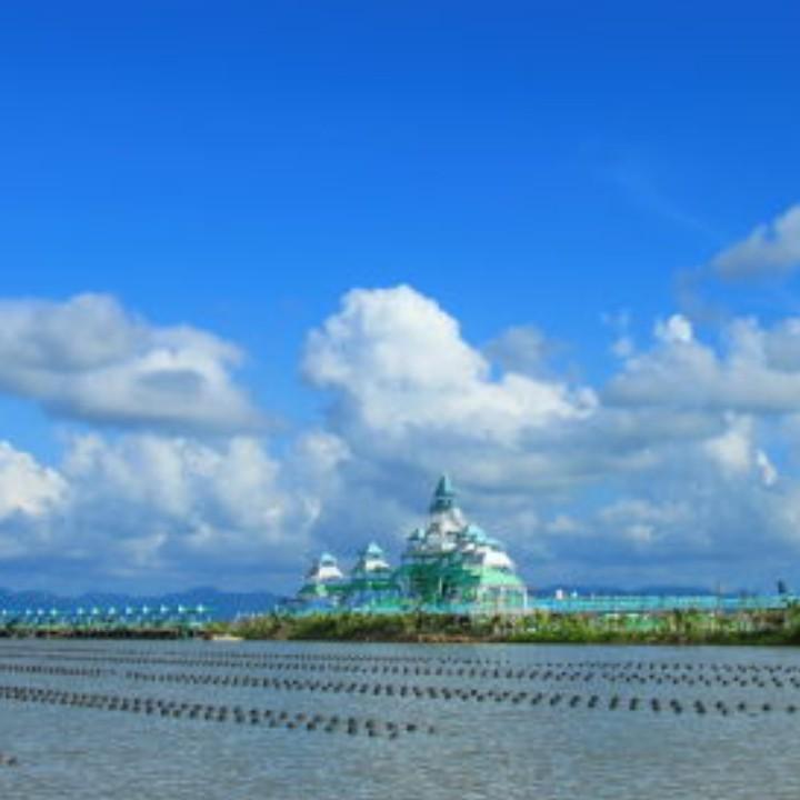 情(情之所至，金石为开，愿你幸运)