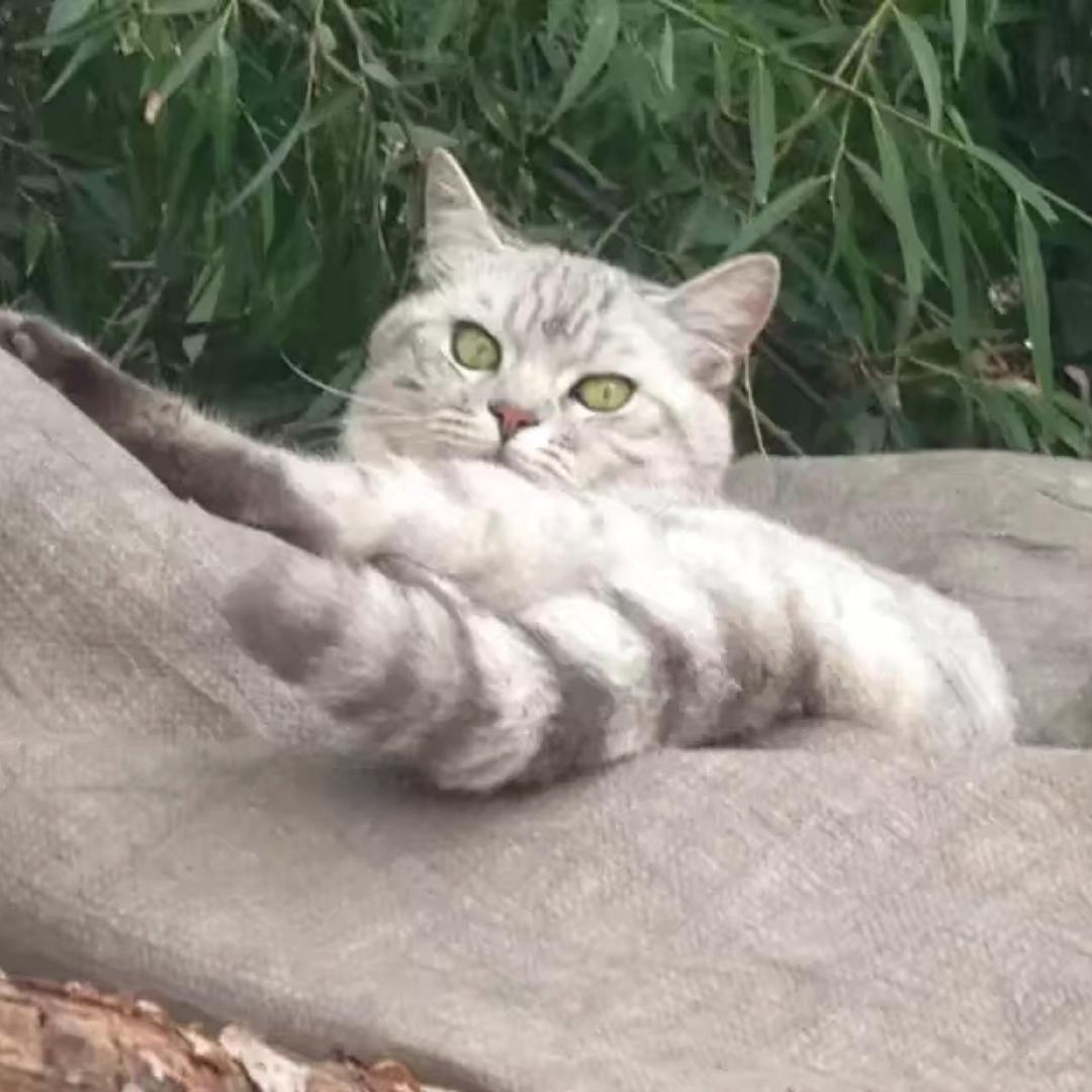 荣大师