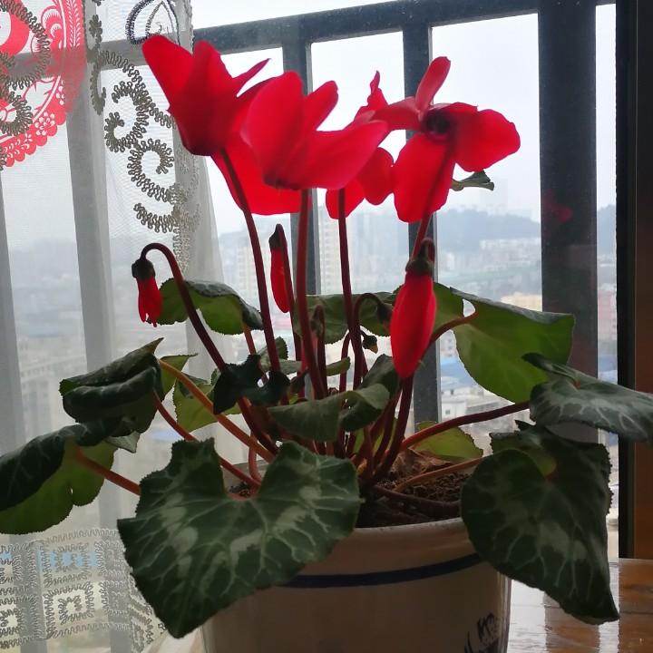 嗯嗯