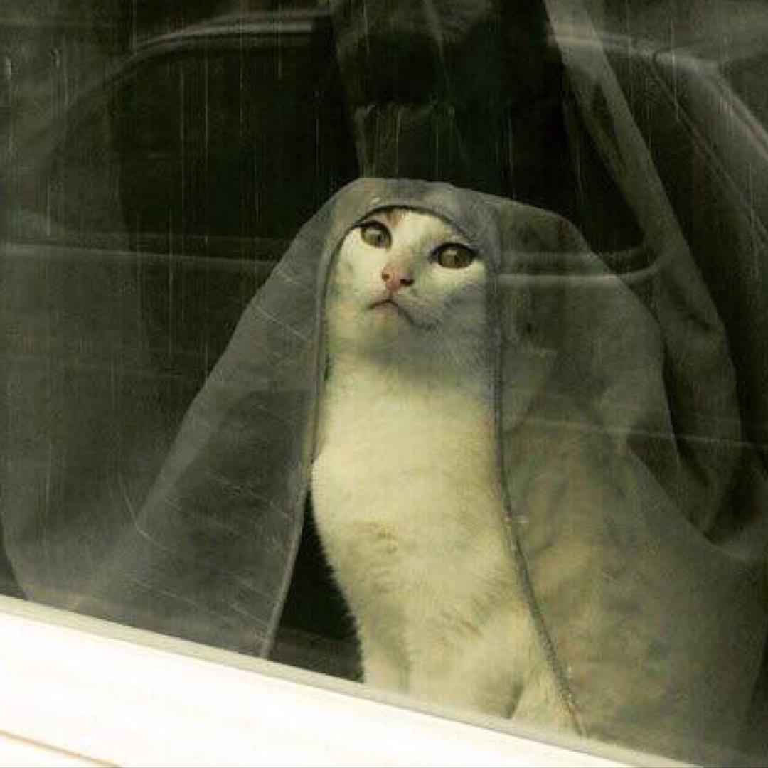 开坦•克的贝塔