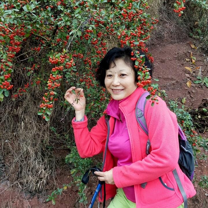 风景在路上