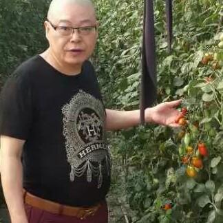 天上漂的云（不评就是限评了）