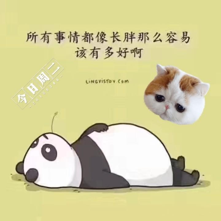 励志减肥