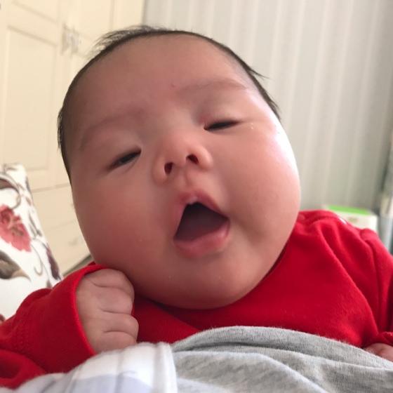 小豆子无敌了