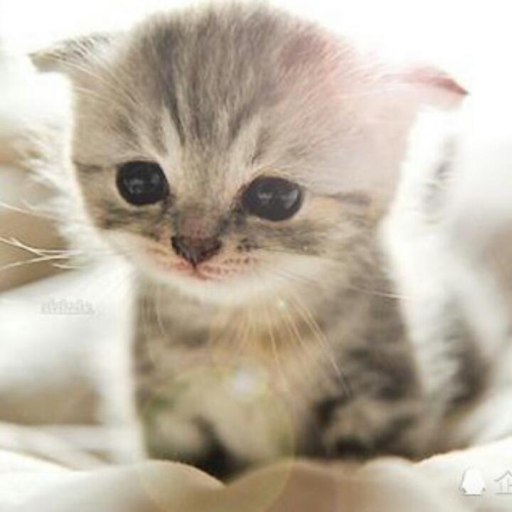 橘子汁