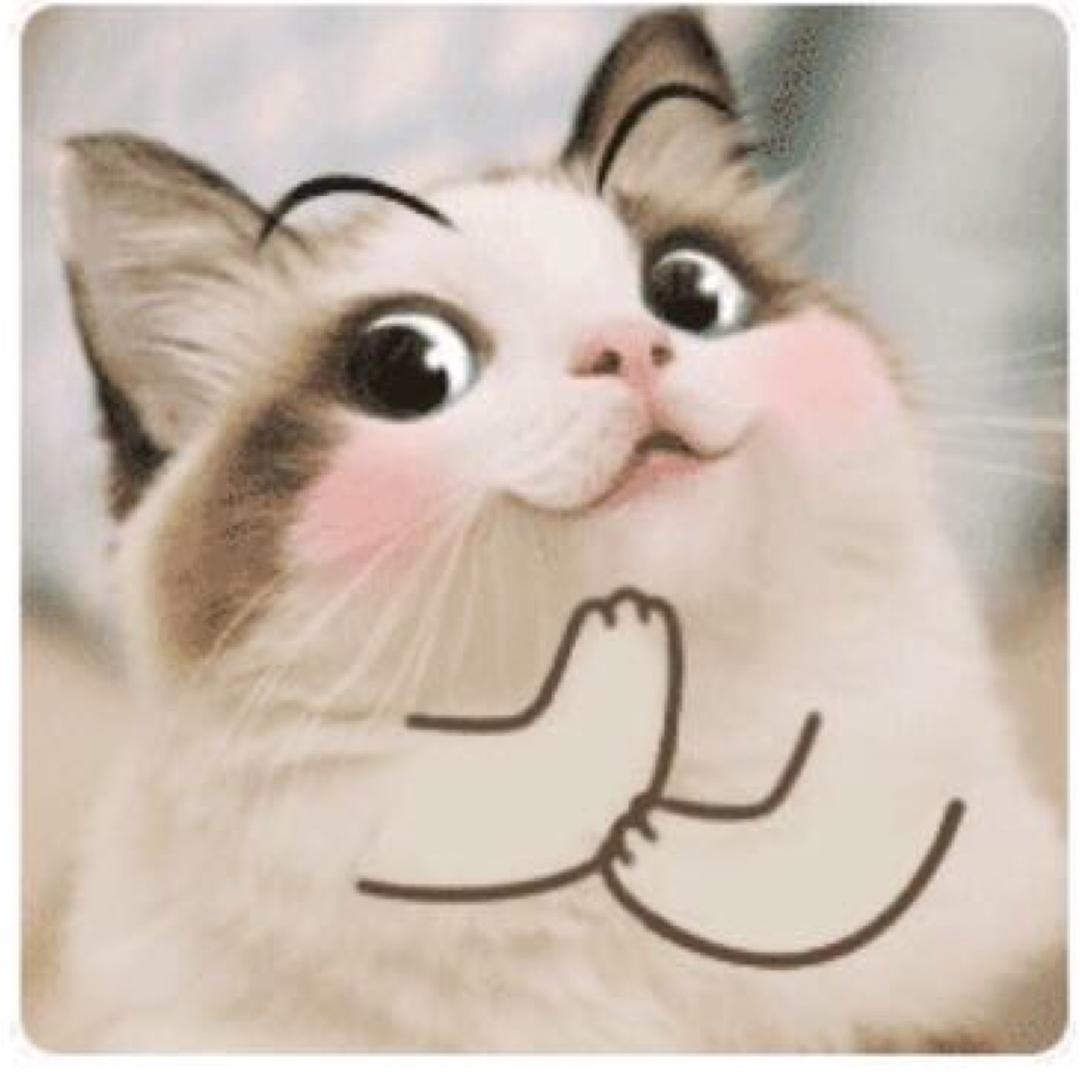 🌈🎀YO(∩_∩)OY🎀
