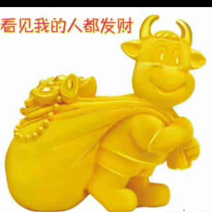 远方游子 在非洲