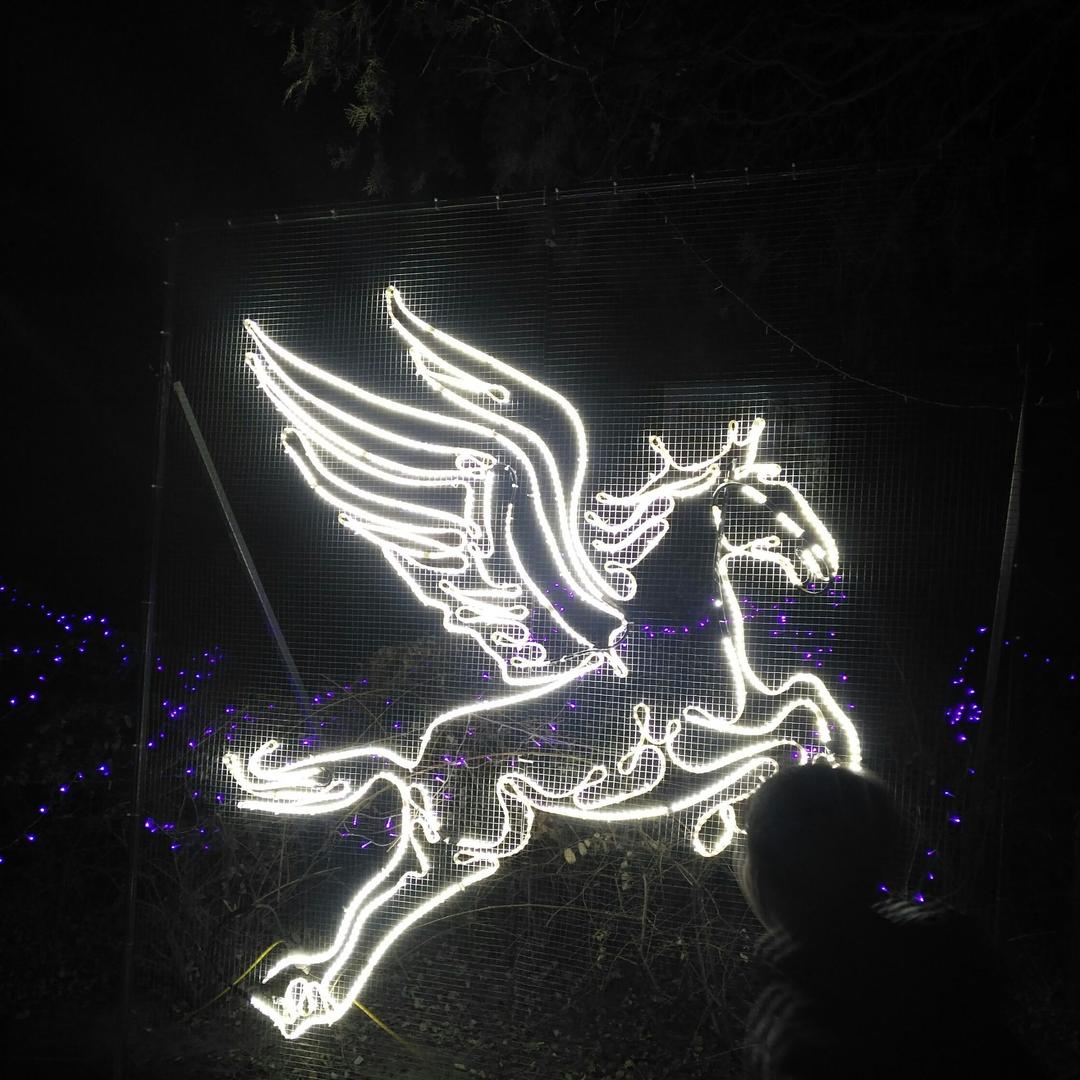 未来的享受601