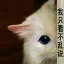 暗夜之神