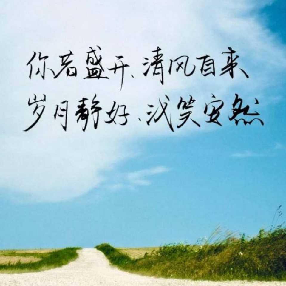 勇敢前行5536