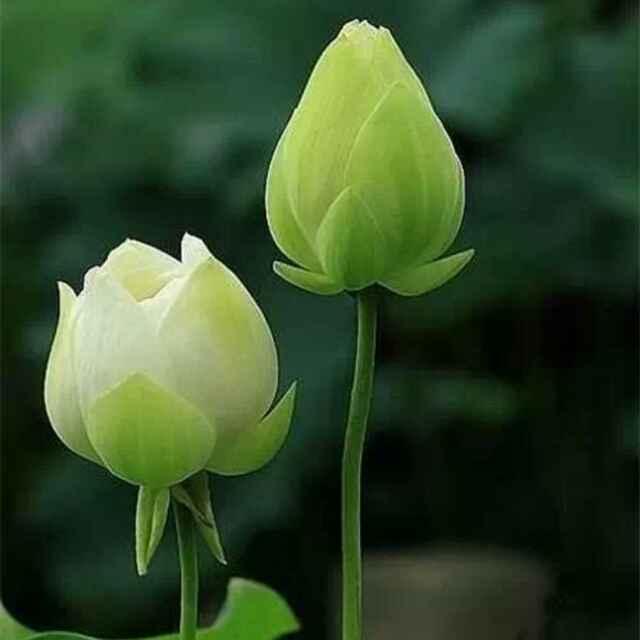 生意兴隆3817